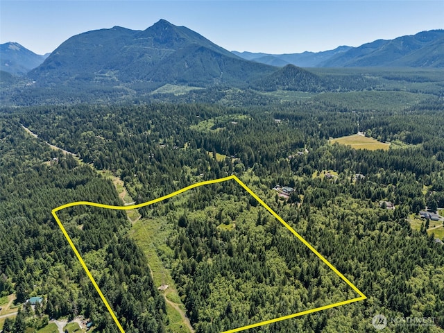 15901 Cedar Falls Rd SE, North Bend, WA 98045 - photo 2
