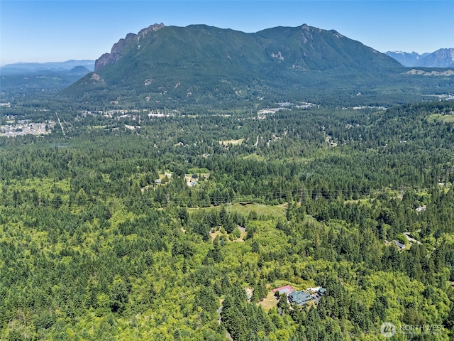 15901 Cedar Falls Rd SE, North Bend, WA 98045 - photo 4