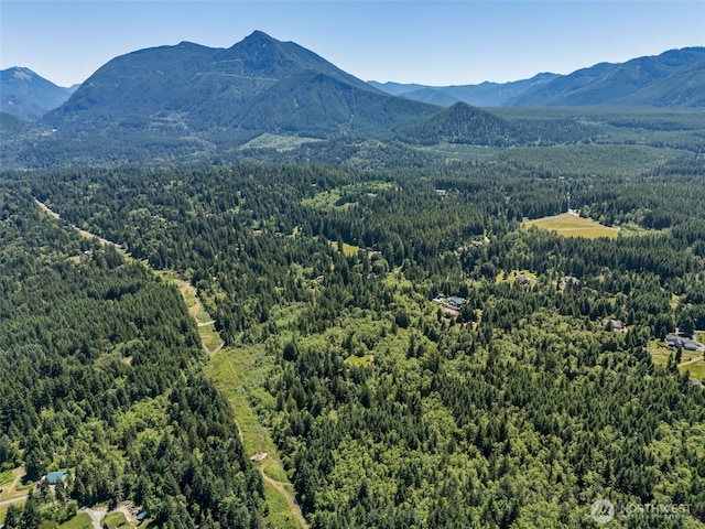 15901 Cedar Falls Rd SE, North Bend, WA 98045 - photo 5