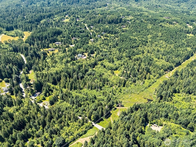 15901 Cedar Falls Rd SE, North Bend, WA 98045 - photo 6