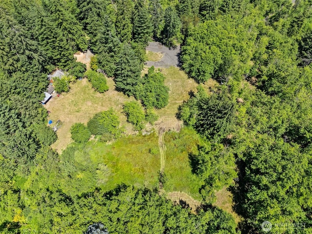 15901 Cedar Falls Rd SE, North Bend, WA 98045 - photo 7