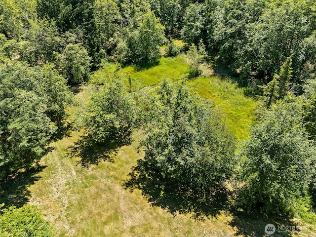 15901 Cedar Falls Rd SE, North Bend, WA 98045 - photo 9