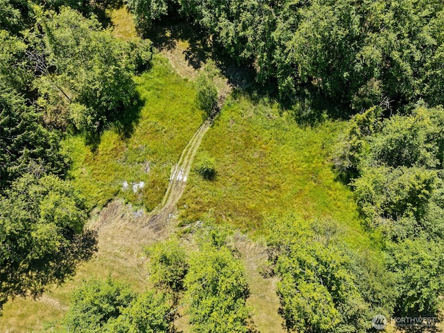 15901 Cedar Falls Rd SE, North Bend, WA 98045 - photo 10