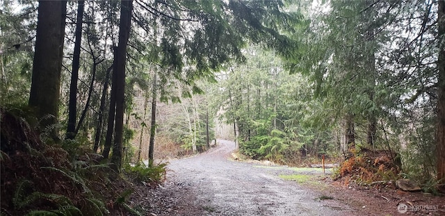 15901 Cedar Falls Rd SE, North Bend, WA 98045 - photo 14