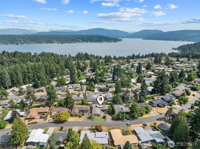 854 170th Pl NE, Bellevue, WA 98008 - photo 37