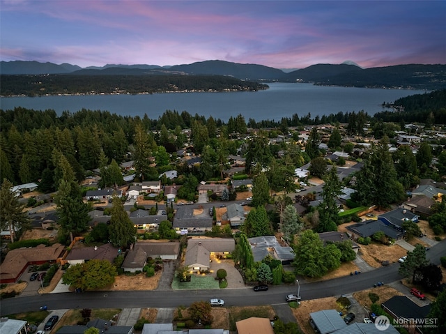 854 170th Pl NE, Bellevue, WA 98008 - photo 36