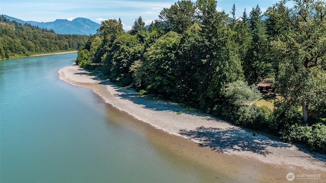 41649 N Shore Ln, Concrete, WA 98237 - photo 40