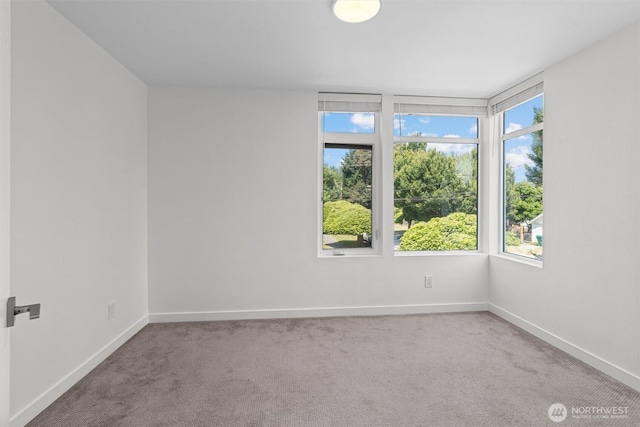 1058 S Cloverdale St Unit C, Seattle, WA 98108 - photo 26