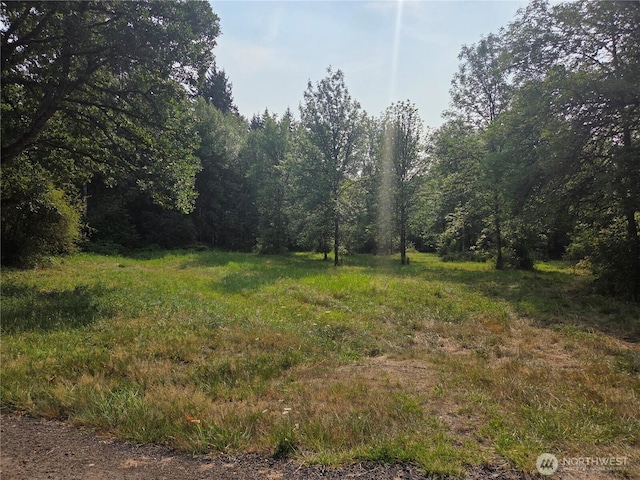 0 Ring Rd, Kalama, WA 98625 - photo 3