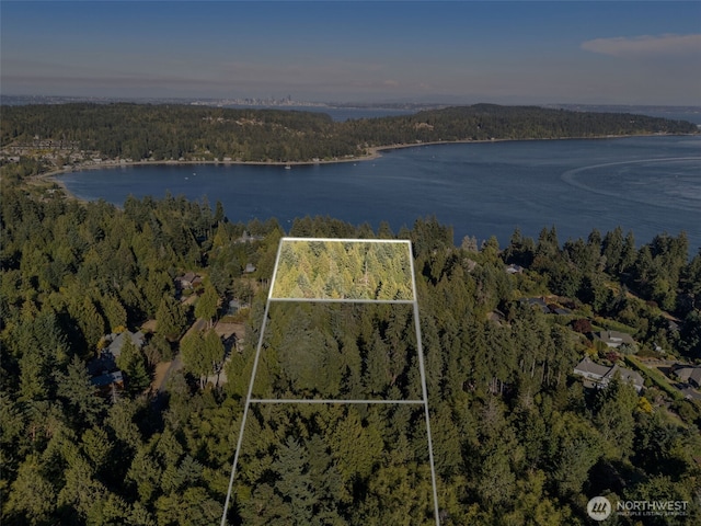 0 Point White Dr NE, Bainbridge Island, WA 98110 - photo 2