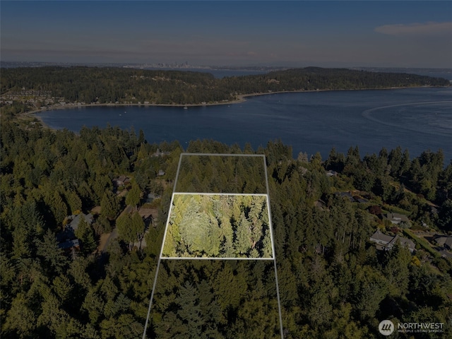 0 Point White Dr NE, Bainbridge Island, WA 98110 - photo 3