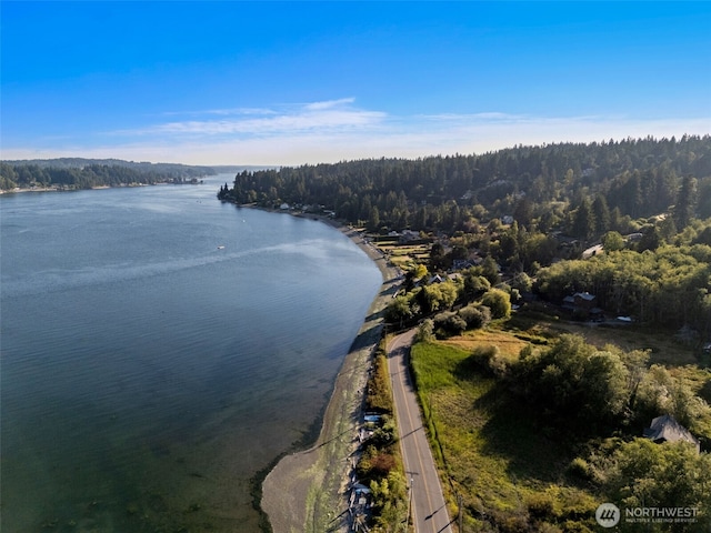 0 Point White Dr NE, Bainbridge Island, WA 98110 - photo 9