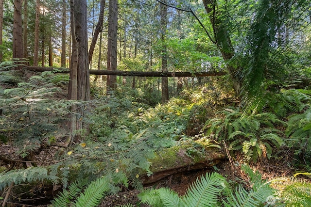 0 Point White Dr NE, Bainbridge Island, WA 98110 - photo 10