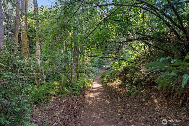 0 Point White Dr NE, Bainbridge Island, WA 98110 - photo 11