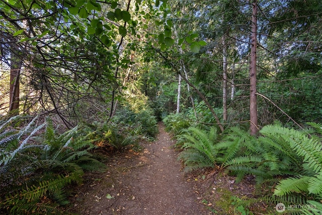 0 Point White Dr NE, Bainbridge Island, WA 98110 - photo 12