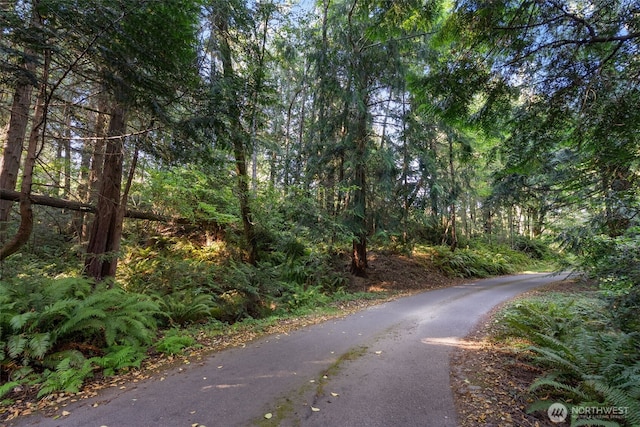 0 Point White Dr NE, Bainbridge Island, WA 98110 - photo 13