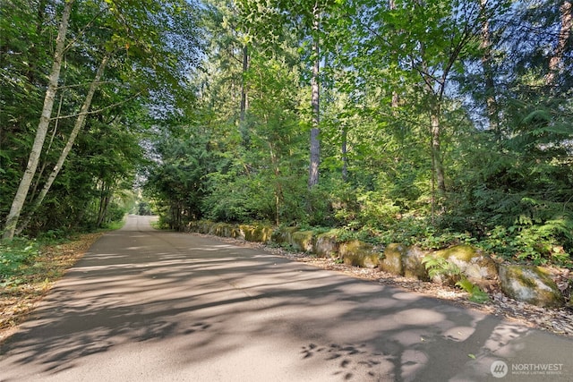 0 Point White Dr NE, Bainbridge Island, WA 98110 - photo 16