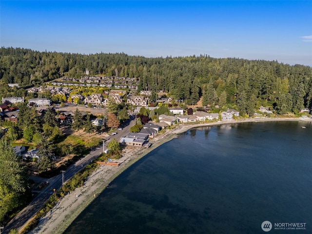 0 Point White Dr NE, Bainbridge Island, WA 98110 - photo 17