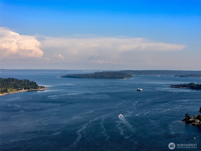 0 Point White Dr NE, Bainbridge Island, WA 98110 - photo 22