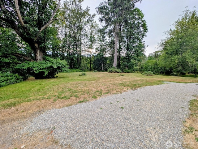 0 Trout Farm Rd, Sultan, WA 98277 - photo 2
