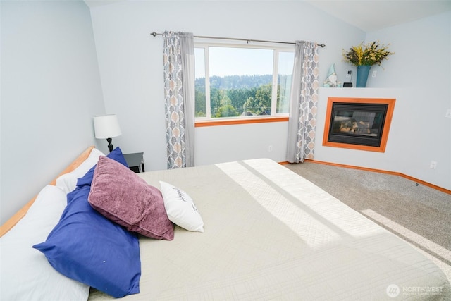 1207 10th Ave, Milton, WA 98354 - photo 20