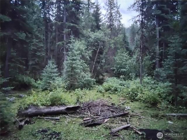 0 Little Place Rd, Tonasket, WA 98855 - photo 7