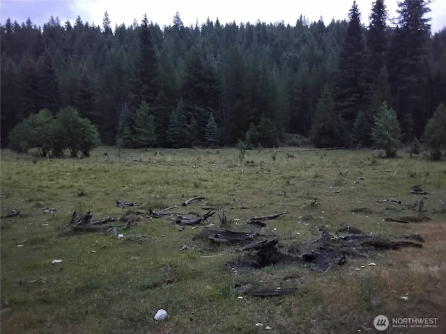 0 Little Place Rd, Tonasket, WA 98855 - photo 3