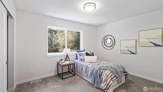 11006 325th Ave SE, Issaquah, WA 98027 - photo 19