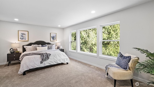 11006 325th Ave SE, Issaquah, WA 98027 - photo 21