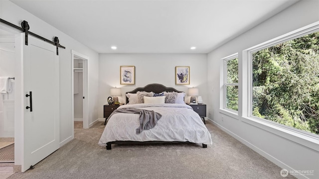11006 325th Ave SE, Issaquah, WA 98027 - photo 22