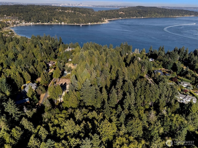 0 NE Latyson Ln, Bainbridge Island, WA 98110 - photo 2