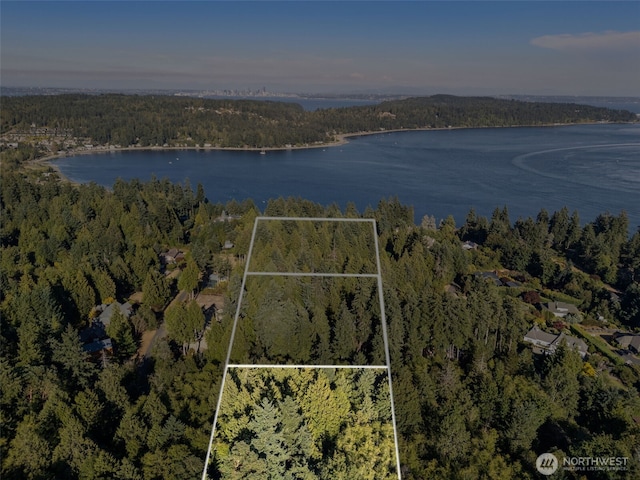 0 NE Latyson Ln, Bainbridge Island, WA 98110 - photo 3