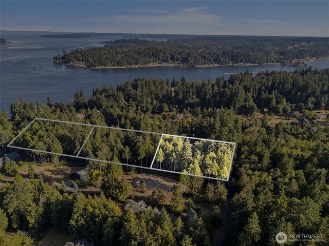 0 NE Latyson Ln, Bainbridge Island, WA 98110 - photo 4