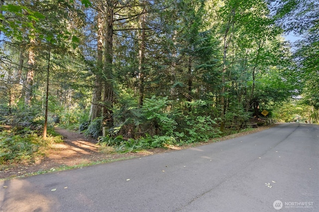 0 NE Latyson Ln, Bainbridge Island, WA 98110 - photo 6