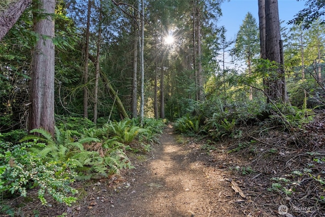 0 NE Latyson Ln, Bainbridge Island, WA 98110 - photo 8