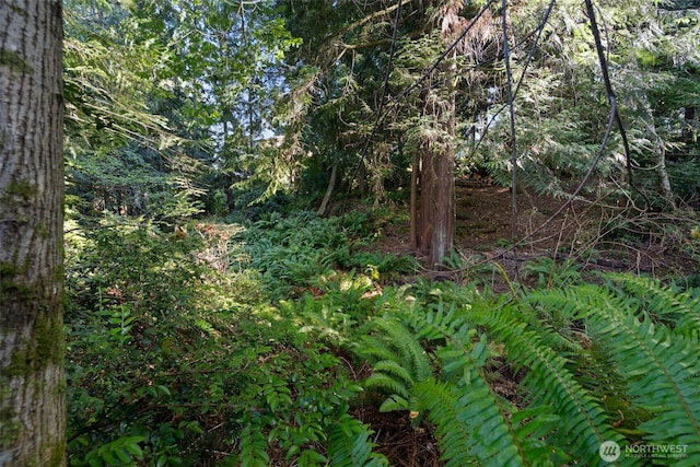 0 NE Latyson Ln, Bainbridge Island, WA 98110 - photo 11