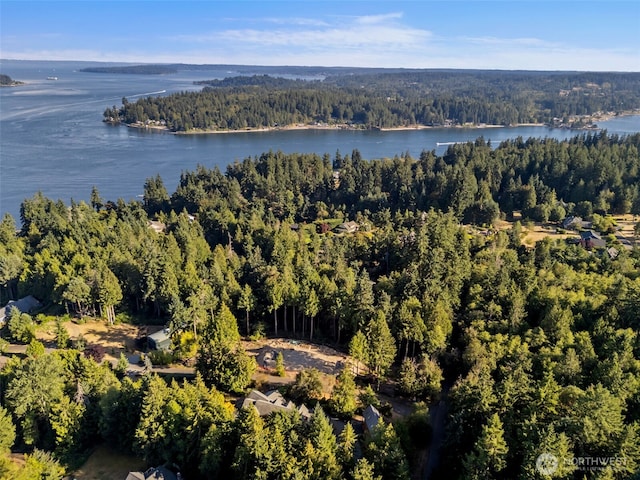 0 NE Latyson Ln, Bainbridge Island, WA 98110 - photo 17