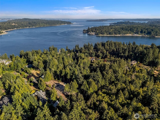 0 NE Latyson Ln, Bainbridge Island, WA 98110 - photo 18