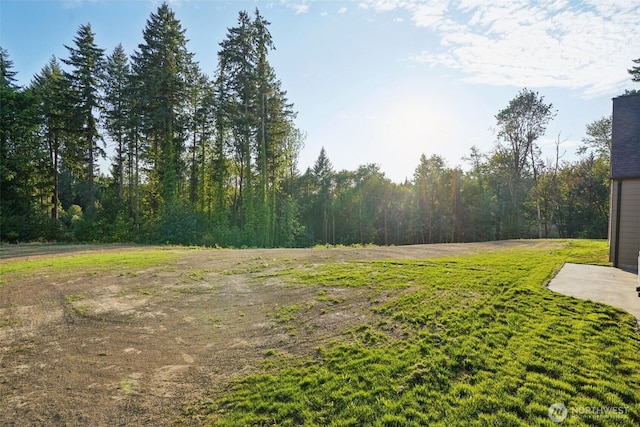 105 Lily Ln, Castle Rock, WA 98611 - photo 38