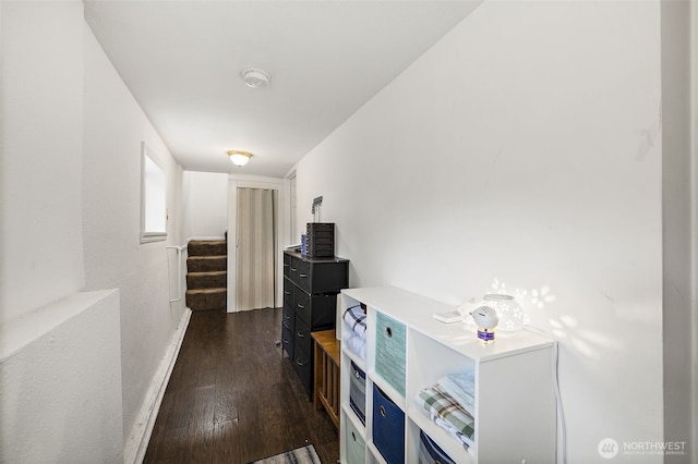 4700 26th Ave SW, Seattle, WA 98106 - photo 15