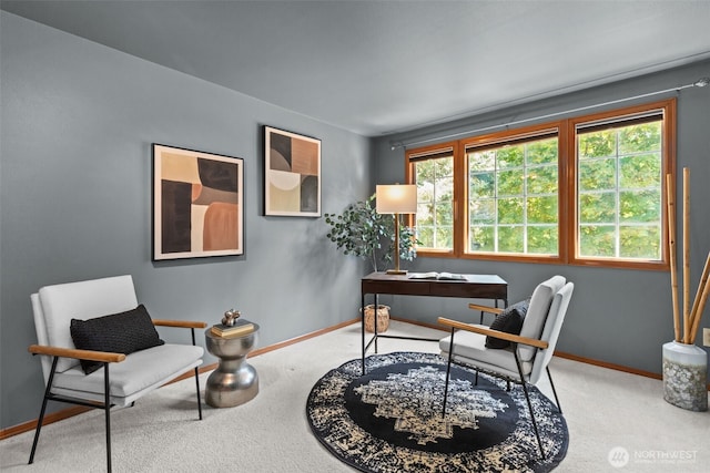 26008 SE 30th St, Sammamish, WA 98075 - photo 23