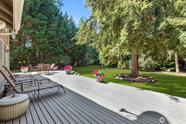 26008 SE 30th St, Sammamish, WA 98075 - photo 32