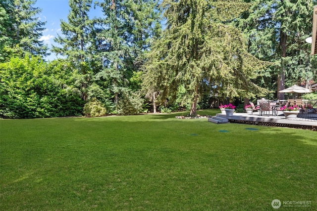 26008 SE 30th St, Sammamish, WA 98075 - photo 34