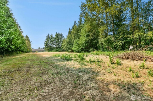 2477 Jess Rd, Custer, WA 98240 - photo 33