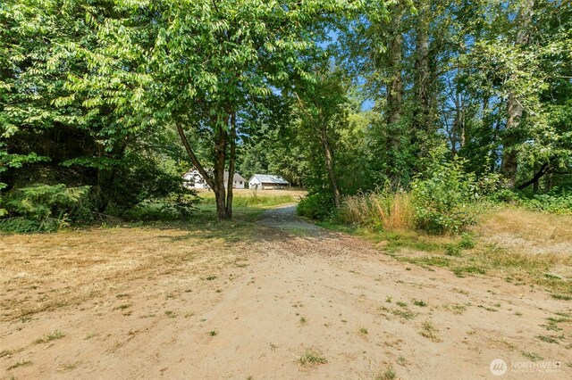 2477 Jess Rd, Custer, WA 98240 - photo 34