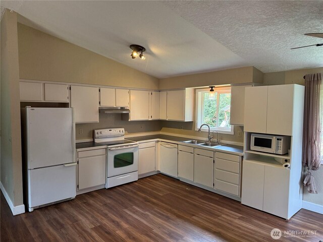 22101 Birch Pl, Ocean Park, WA 98640 - photo 5