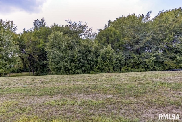 401 Ramblewood Rd, Chatham IL, 62629 land for sale