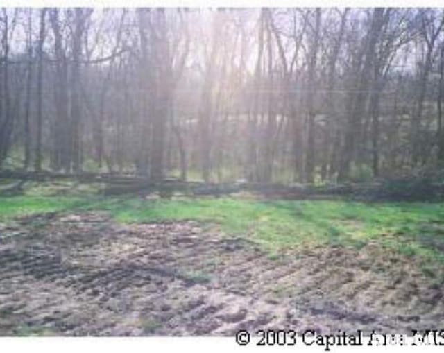 13 Deer Meadow Ln, Petersburg IL, 62675 land for sale