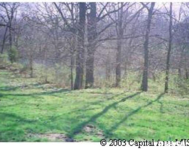 27 E Bluff Cir, Petersburg IL, 62675 land for sale