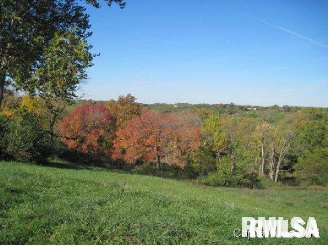 42 Vista Rdg, Petersburg IL, 62675 land for sale